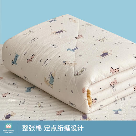 匹鲁超柔云感双层空调被 | 夏天空调房一定要备上，云柔触感，裸睡也超舒服 商品图4