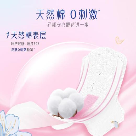 樱恋 益生菌奢柔日用卫生巾 245mm 9片/包 商品图3