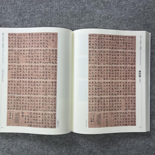 【2021书圣故里▪临书大会】 商品图10