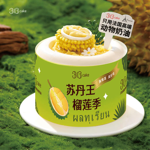 迷你多肉榴莲  | 36 CAKE 商品图2