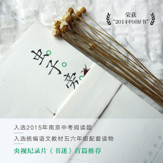 【多规格】朱赢椿：虫子本+虫子旁+虫子间（少儿版）+虫子间（成人版） 单册/套装 商品图6