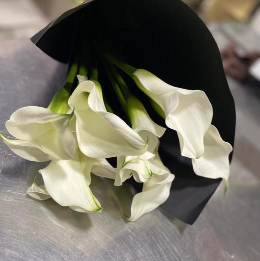 海芋~白色 商品图4