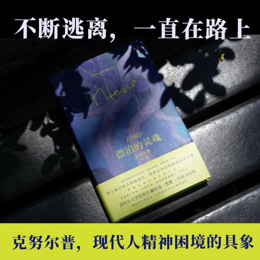 漂泊的灵魂 克努尔普 赫尔曼·黑塞 著 小说 商品图1