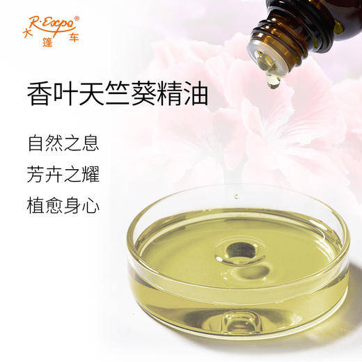 香叶天竺葵精油 肯尼亚精油原料批发芳疗香氛调香香薰 大篷车精油 商品图1