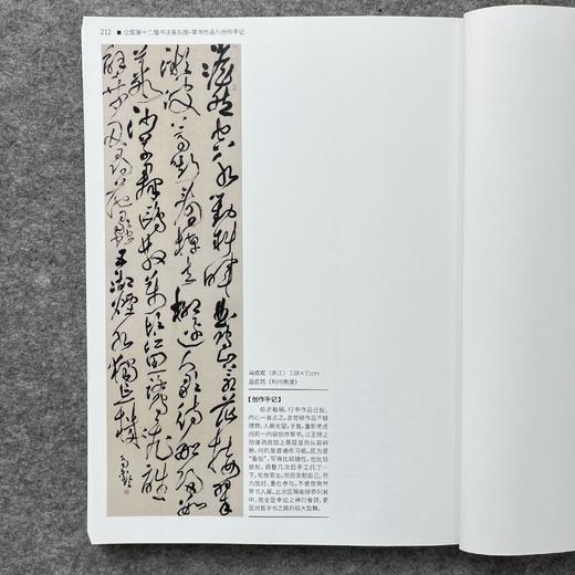 【全国十二届书法篆刻展-草书入展创作手记十二届国展-草书创作手记】 商品图2