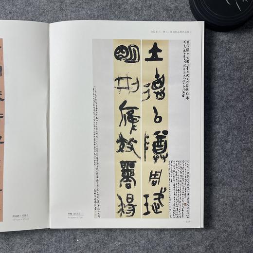 2022中国书法年展 全国篆书隶书篆刻作品集 商品图7