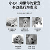 【新人专享】雷米高狗狗体内驱虫药粒清阿苯达唑片幼犬宠物打虫药猫咪驱虫（一盒4片） 商品缩略图2