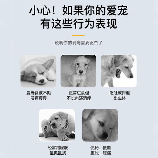 【新人专享】雷米高狗狗体内驱虫药粒清阿苯达唑片幼犬宠物打虫药猫咪驱虫（一盒4片） 商品图2