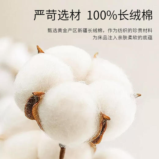 泰嗨TAIHI 7A抑菌100支全棉四件套 新疆棉高支高密 商品图2