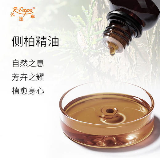 侧柏精油 印度单方精油原料批发芳疗护理调香香薰 大篷车精油 商品图1