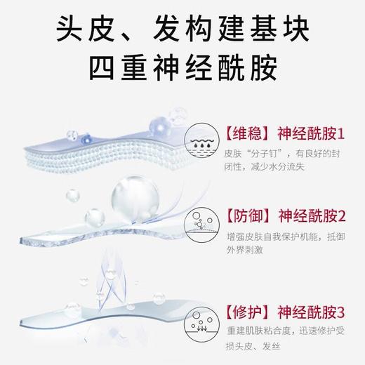 【张若昀同款】舒蕾Pro氨基酸头皮水润强韧修护洗发露430ml柔顺修护舒缓洗发露 商品图2