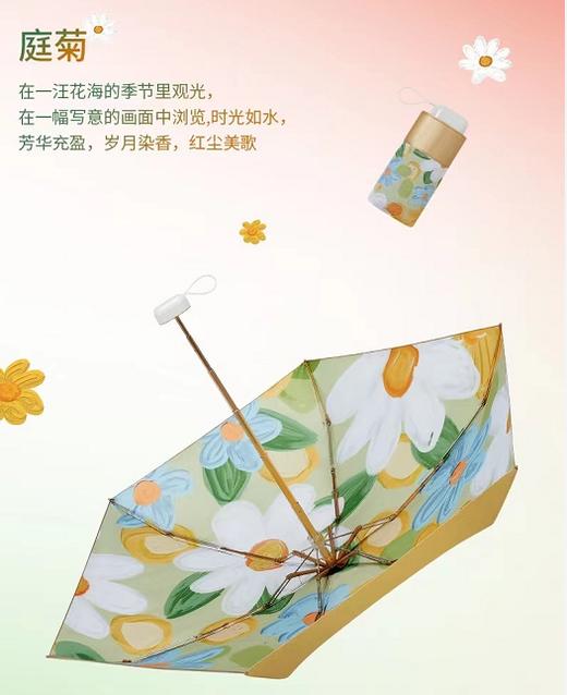 印花 六折小金伞（礼盒装） 商品图1