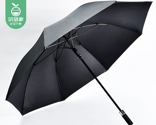 wuyouwulv自动直柄贵宾伞（黑色）/1把补单专用 商品图1