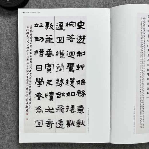 【国展参考-隶书集】 商品图10