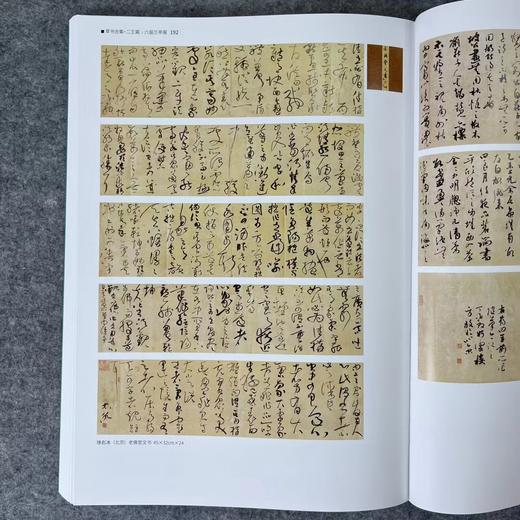 【国展参考-书谱二王集】 商品图8