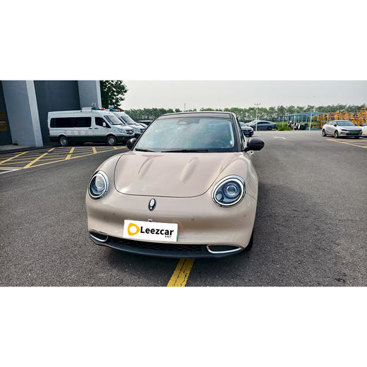 欧拉 好猫 400km标准续航 雅典娜版 磷酸铁锂【长租-北京】 商品图1