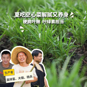 生态空心菜 | 绿家自产* Eco-mater convolvulus | Self-production|