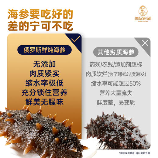 免泡发俄罗斯刺参500g一斤装 缩水率低 【冷冻储存】 商品图4