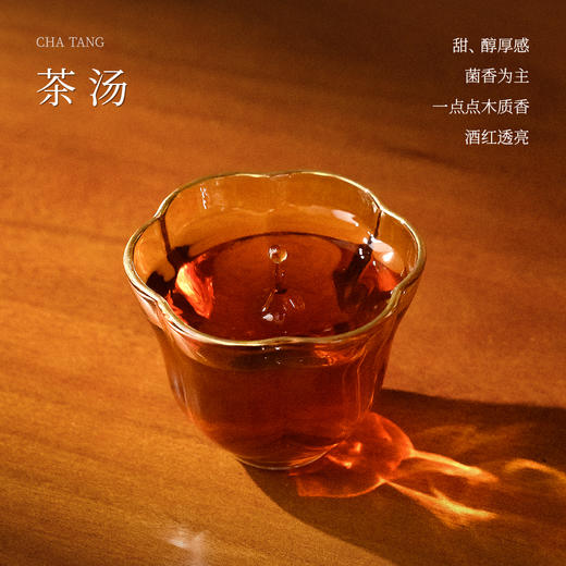 懂茶帝云南熟普2024年勐库名山普洱熟茶100g 商品图2