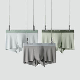 XN-TH9080  80S兰精莫代尔男士内裤纯色无痕平角裤中腰男生内裤