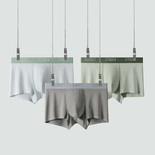 XN-TH9080  80S兰精莫代尔男士内裤纯色无痕平角裤中腰男生内裤 商品图0