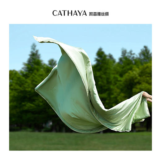 凯喜雅 科技茶纤维夏不语可机洗夏凉被 商品图4