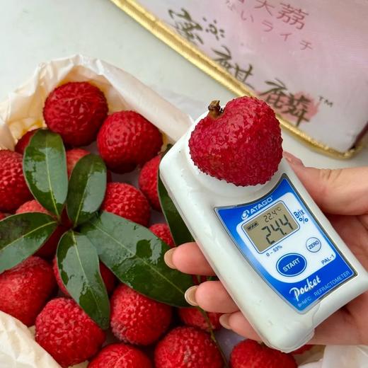 石家庄优选仓库速达 ，蜜麒麟.冰荔，又名红蜜荔，果肉肉质细腻无渣，清甜带蜜味，风味浓郁 ，净重 2.5斤礼盒装 商品图6