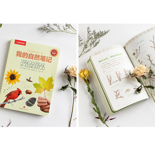 我的自然笔记 商品图1