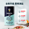 莫顿（MORTON） 湖盐737g【未加碘 湖盐】食用湖盐 家用炒菜调味 无抗结剂湖盐 /粮油调味 /调味品 /盐 商品缩略图5