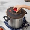 【香港在售】德国卡尔·史密特CS科迈德系列高压锅 商品缩略图2