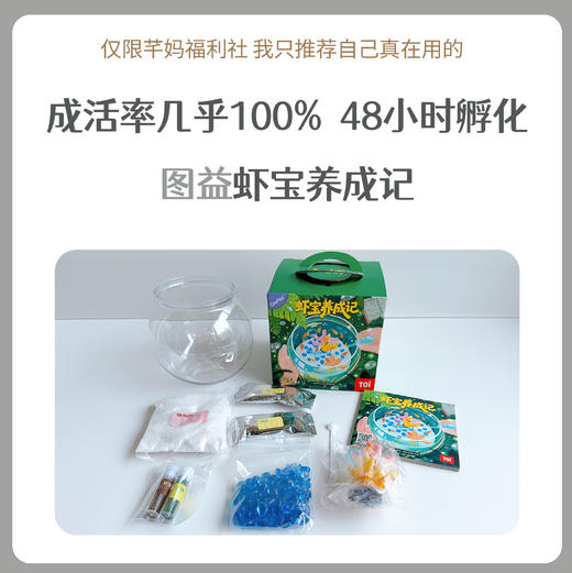TOI图益Craftoi系列-虾宝养成记 商品图0