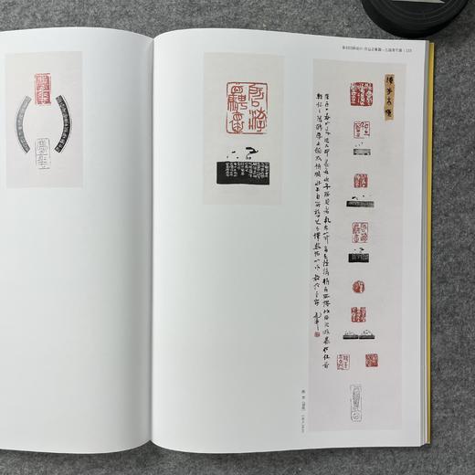 【国展内参-篆刻印屏设计与作品合集】 商品图4