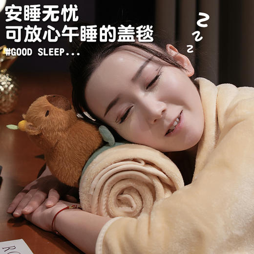 自然醒趣味水豚立体卷毯午休办公室午睡空调毯子儿童珊瑚绒毛毯汽车载QYL 商品图3