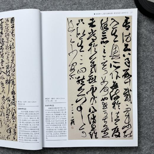 【全国十二届书法篆刻展-草书入展创作手记十二届国展-草书创作手记】 商品图4