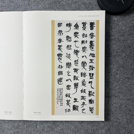 2022中国书法年展 全国篆书隶书篆刻作品集 商品图6