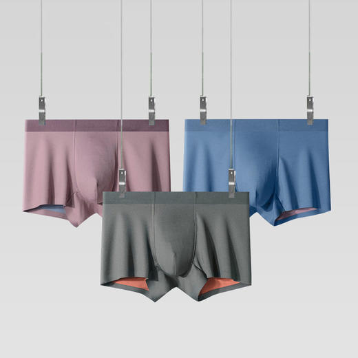 XN-M001  【1条】100支双面莫代尔内裤男士大码无痕纯色平角蚕丝短裤 商品图0