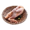 小麻鸭 约1kg/只 商品缩略图0