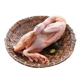 小麻鸭 约1kg/只