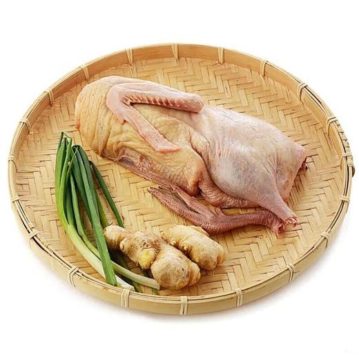 龙门山放养麻鸭（不含图上配菜） 商品图0