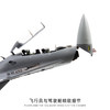 FXQ【长春航展、九三阅兵纪念品-新品重磅】特尔博 1:48歼16收藏版 仿真军事模型航展纪念品歼16 J16 商品缩略图2