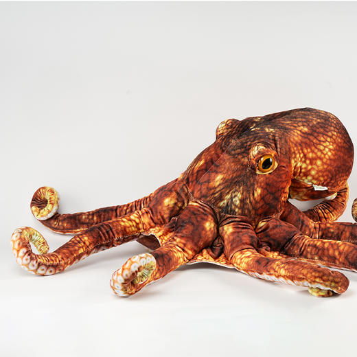 贝林自然世界67cm章鱼毛绒玩具博物馆伴手礼 商品图0