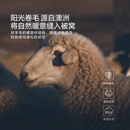 【新品上市】水星家纺A类可水洗羊毛阳光卷毛3.0四季被二合一被甄选 商品图1