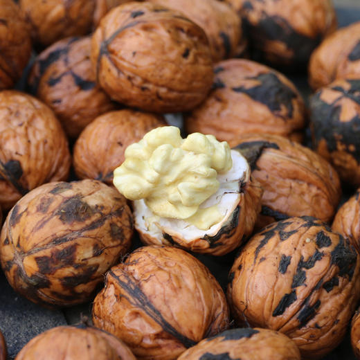 2025年农家新鲜湿核桃 去青皮发货  果仁饱满  脆嫩香甜  核桃 3斤 商品图5