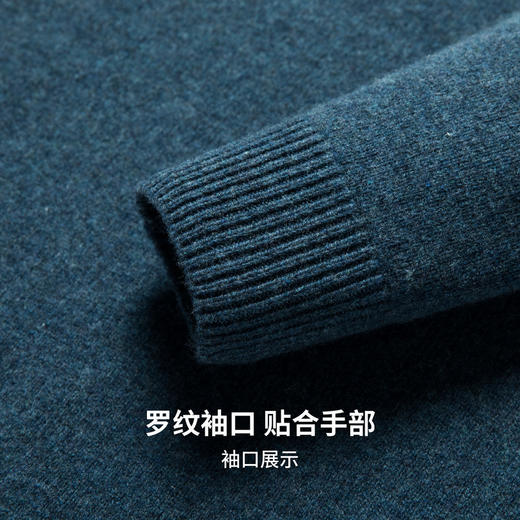 【100%绵羊毛】圣得西男士基础款型重磅羊毛衫2025秋季新款舒适百搭毛衣 商品图9