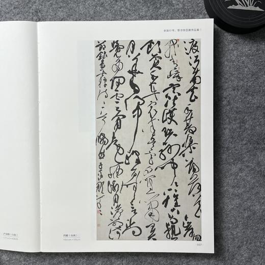 2022中国书法年展-全国行书草书作品展作品集 商品图5