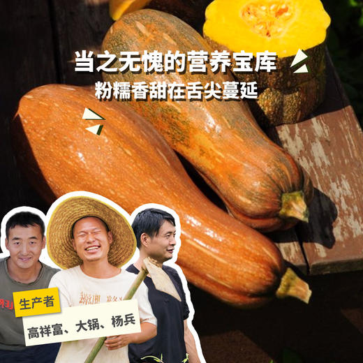 生态蜜本南瓜 （整个）| 绿家自产*Ecological pumpkin | Self-production 商品图0
