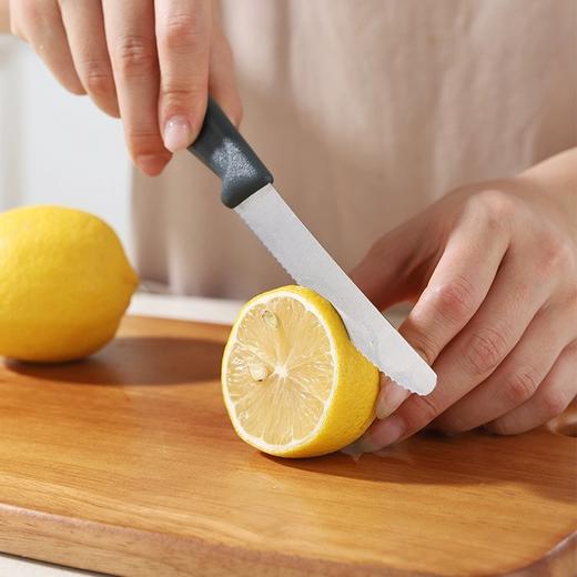 德国戴德不锈钢蔬果刀剪三件套家用厨房剪便携削皮刀水果刀【不支持补差，非质量问题不退不换】S 商品图3