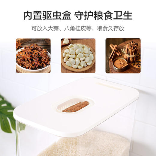 乐扣乐扣（LOCK&LOCK）家用密封防虫防潮装米桶面桶储粮桶面粉米桶HPL584 商品图4