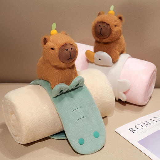 自然醒趣味水豚立体卷毯午休办公室午睡空调毯子儿童珊瑚绒毛毯汽车载QYL 商品图10