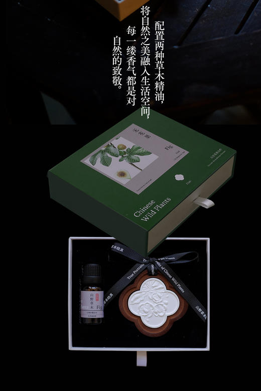 山野草木绘真（收藏版） &3182 一部跨越生态与文明的中国草木视觉志—— 从荒野秘境到人间烟火， 唤醒你忽视的中华草木DNA 商品图7